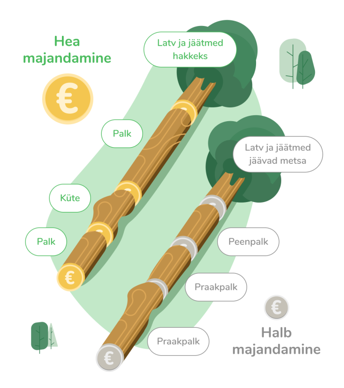 Metsa majandamine Timber