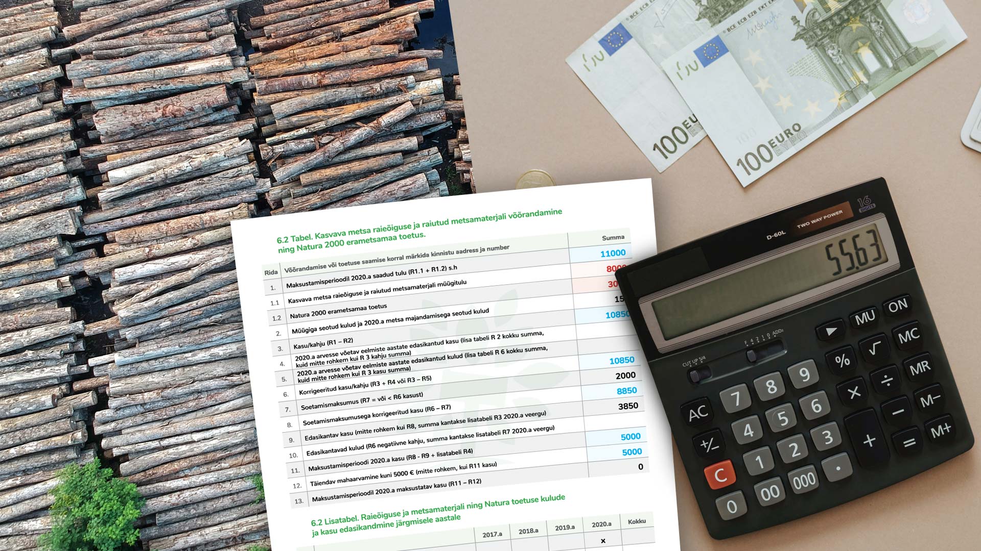 Kuidas täita tuludeklaratsiooni, kui oled müünud raieõigust ja tahad kasutada 5000 euro suurust maksuvabastust?