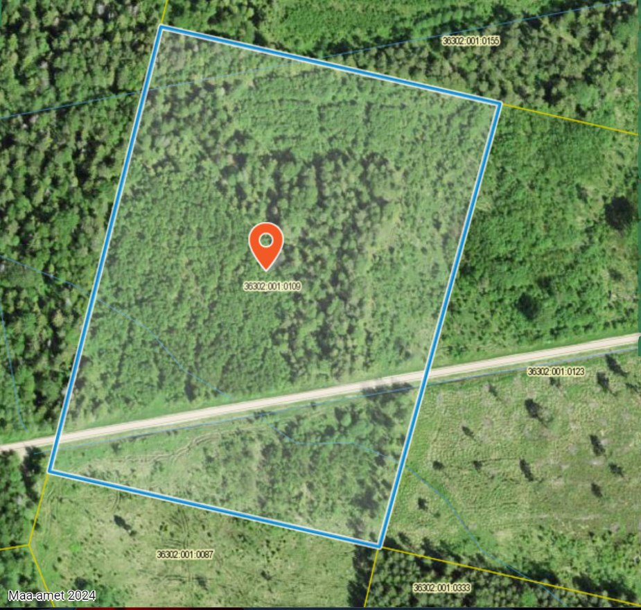 Hiljuti lõppenud oksjonid