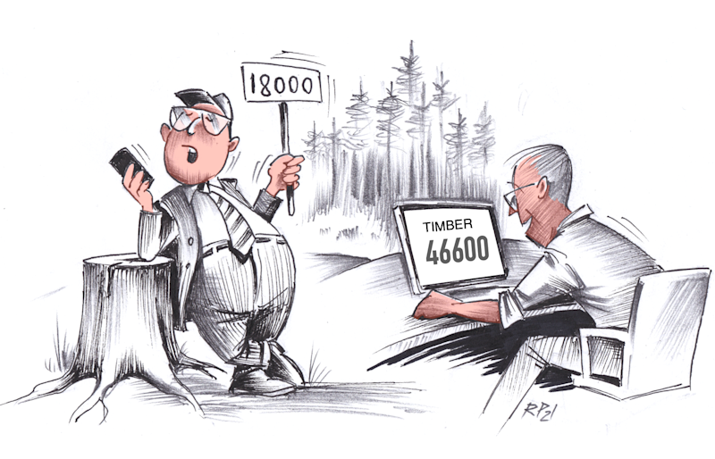 Metsakinnistu väärtus kerkis juba ühe Timberisse võetud kõne järel 18 000 eurolt 32 000 euroni