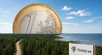 Saaremaal on oksjonil metsakinnistu vaid 1 euroga