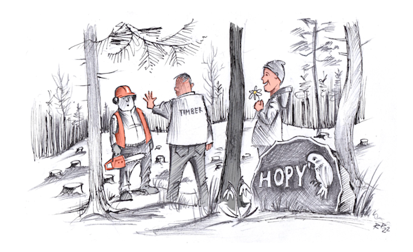 Kuidas meil õnnestus majandada metsa kus puhkab metsaomaniku lemmik