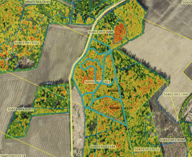 Valik minu läbi viidud oksjoneid