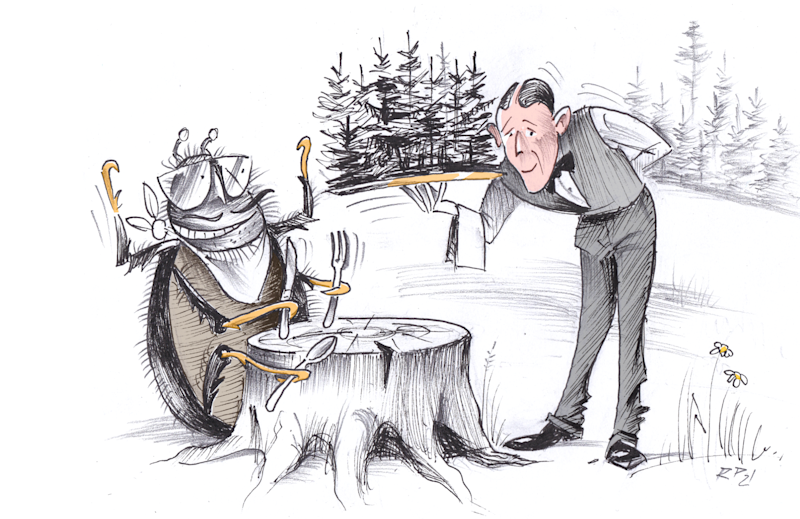 Kes sööb metsaomanike vara?