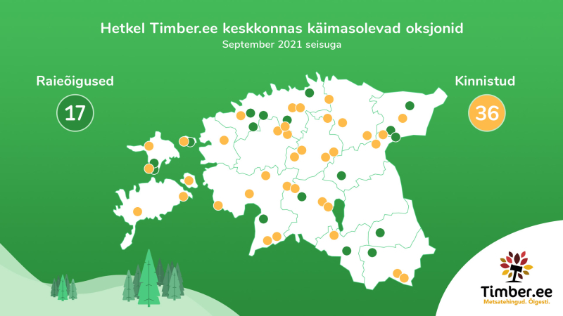 Septembrikuus oksjonil olevad raieõigused ja metsakinnistud