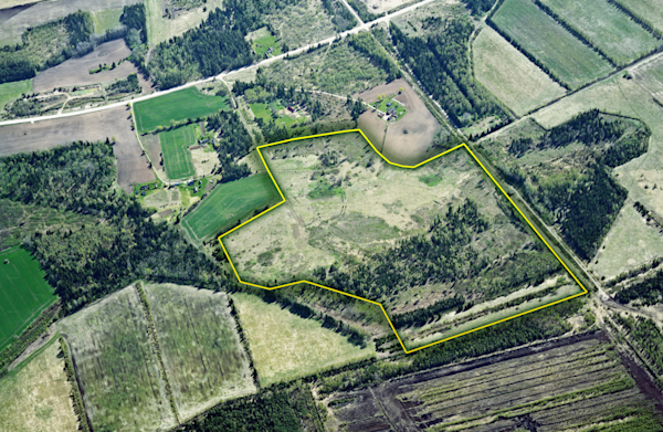 Oksjonil on Rail Baltica raudteetrassiäärne kaeveloaga kruusakarjäär