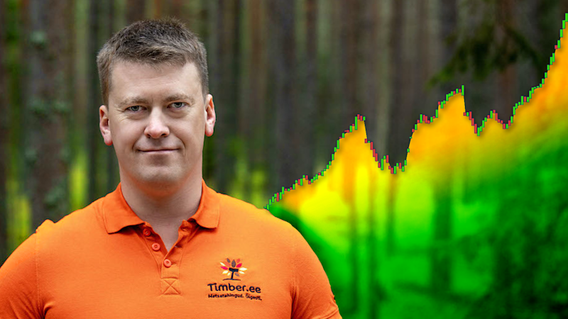 AS Timber turundusjuht Ott Krigul: "Puitmaterjali nõudlus on aasta jooksul märgatavalt tõstnud metsa hinda"