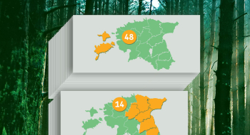 Timber.ee oksjonikeskkonnas pakkumisel kolm kinnistutepaketti – kokku 73 metsakinnistut, 562,25 hektarit