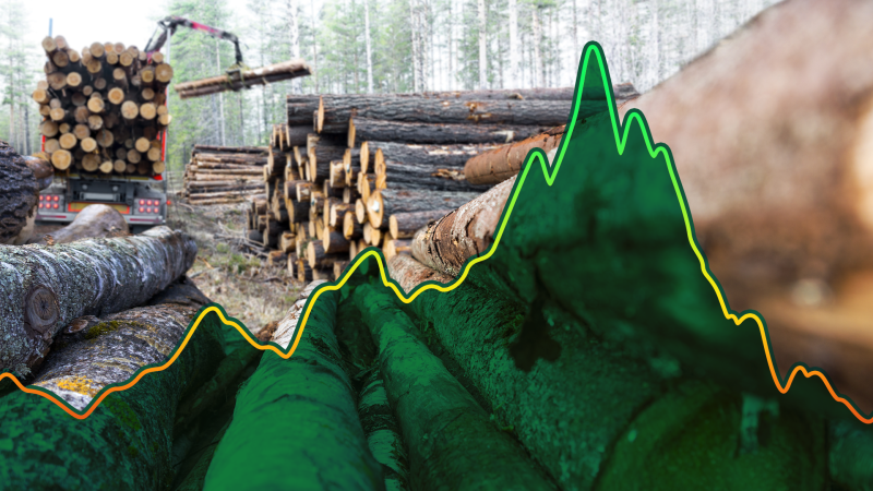 Graafik: Saematerjali maailmaturuhind 2021, allikas: Nasdaq