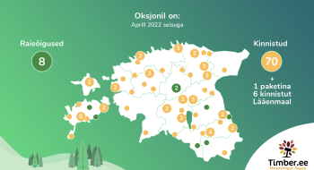 Oksjonil on rekordkogus metsa! Kolme miljoni euro väärtuses kokku 70 metsakinnistut. 