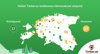 Oksjonil on 57 metsakinnistut Eesti eri paigus