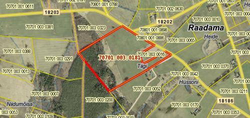 Valik minu läbi viidud oksjoneid