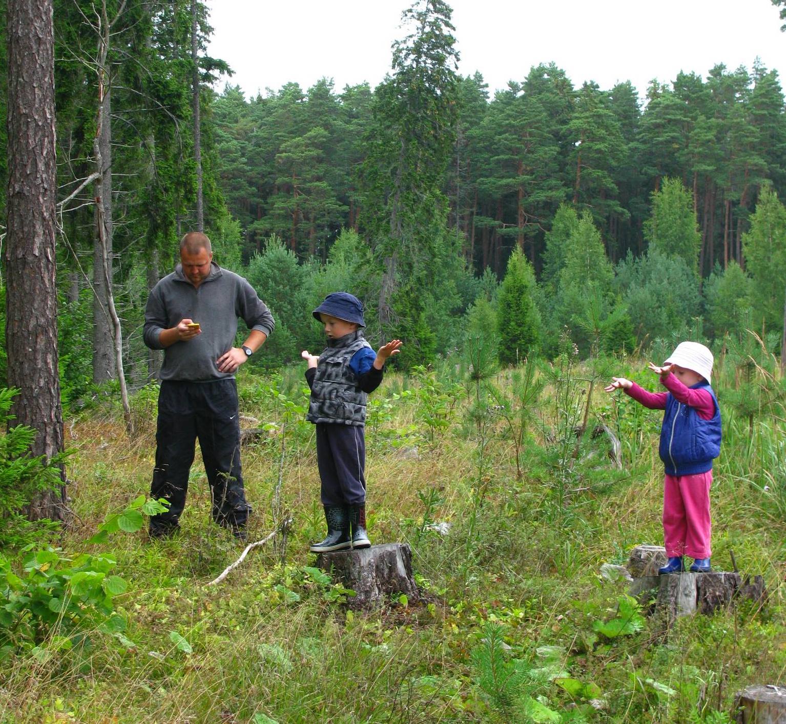 Kui kallis on tegelikult metsa kasvatamine?