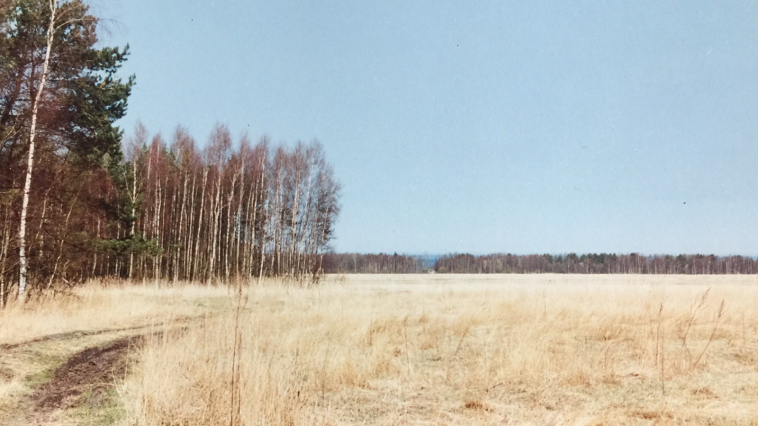 1996 kevad Tammeotsa kased ja vaade merele