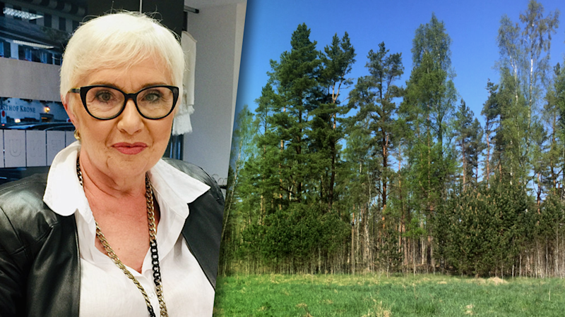 Milline on alternatiiv lageraiele, kui metsaomanik ei soovi kaotada harjumuspärast metsavaadet?