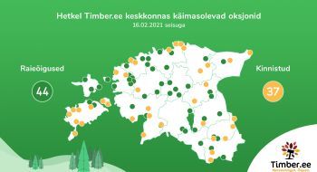 Oksjonil on 2,7 miljoni euro eest metsa