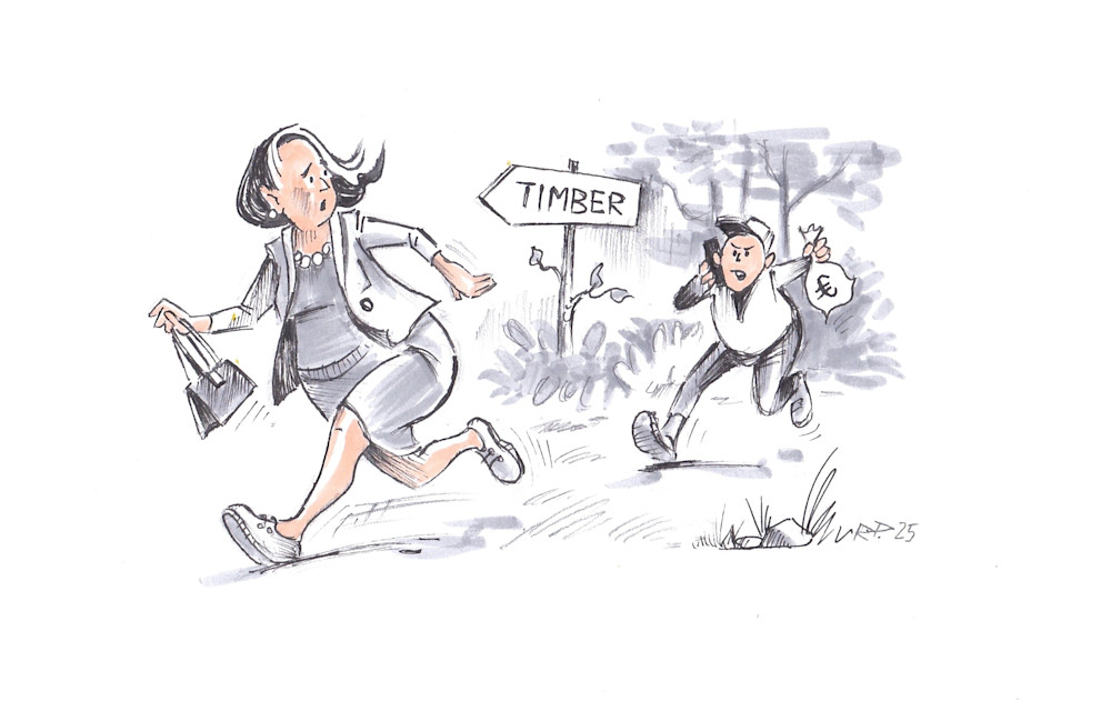 Õnnelik metsaomanik sai oksjonilt esialgu uskumatuna tundunud summa