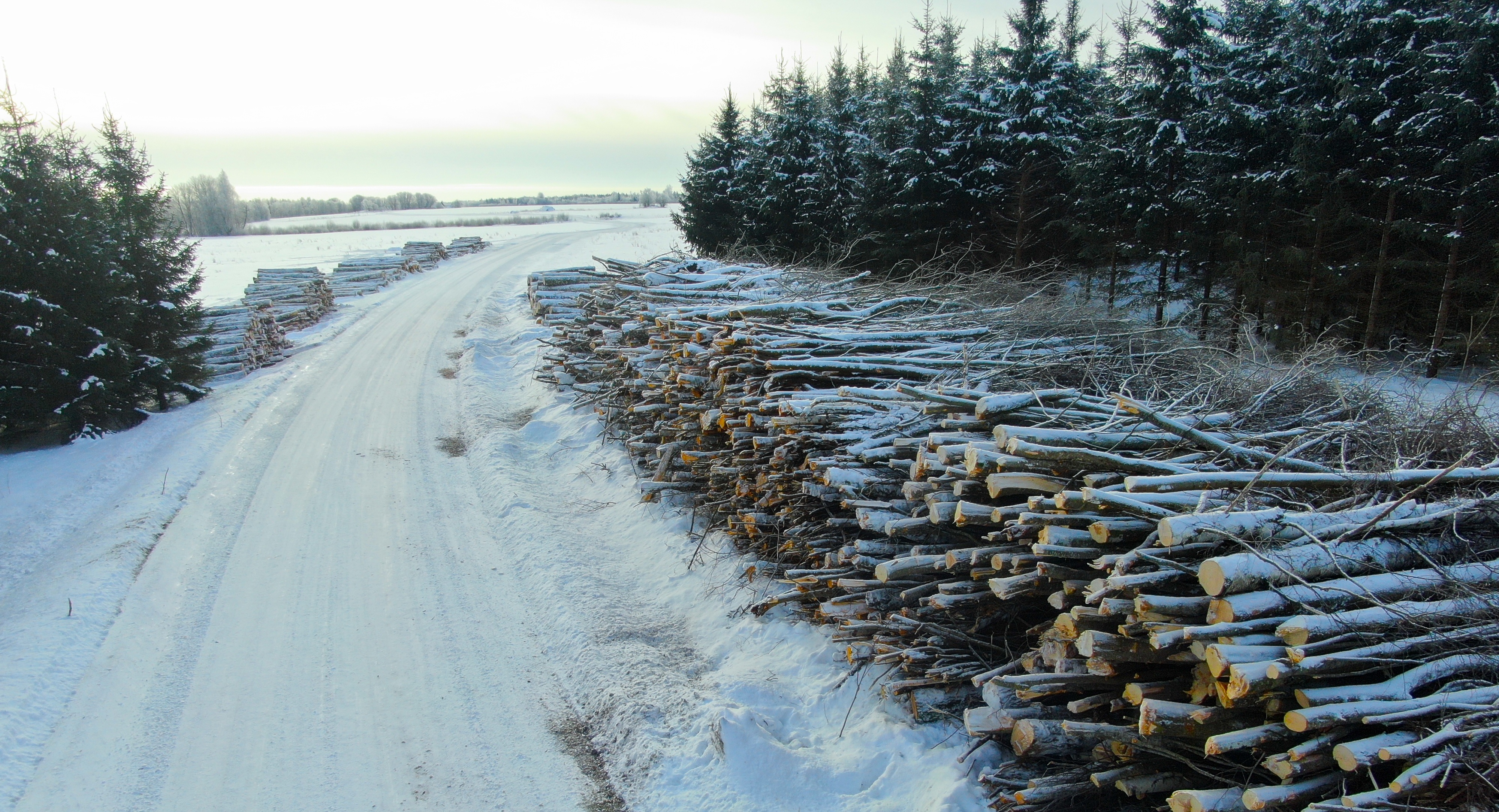 Talvine raiehooaeg läheneb: mida peaks teadma enne metsaraiet