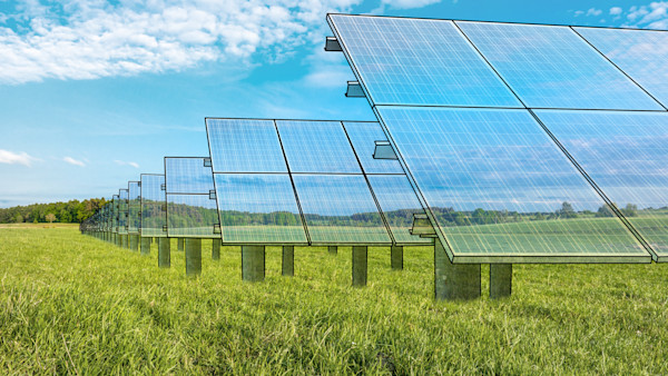 Oksjonil on 200 hektarit päikesepargi rajamiseks sobilikku maad. Uus oksjoni tähtaeg!