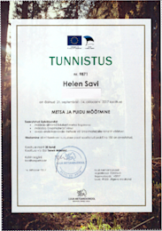 Heleni-tunnistus