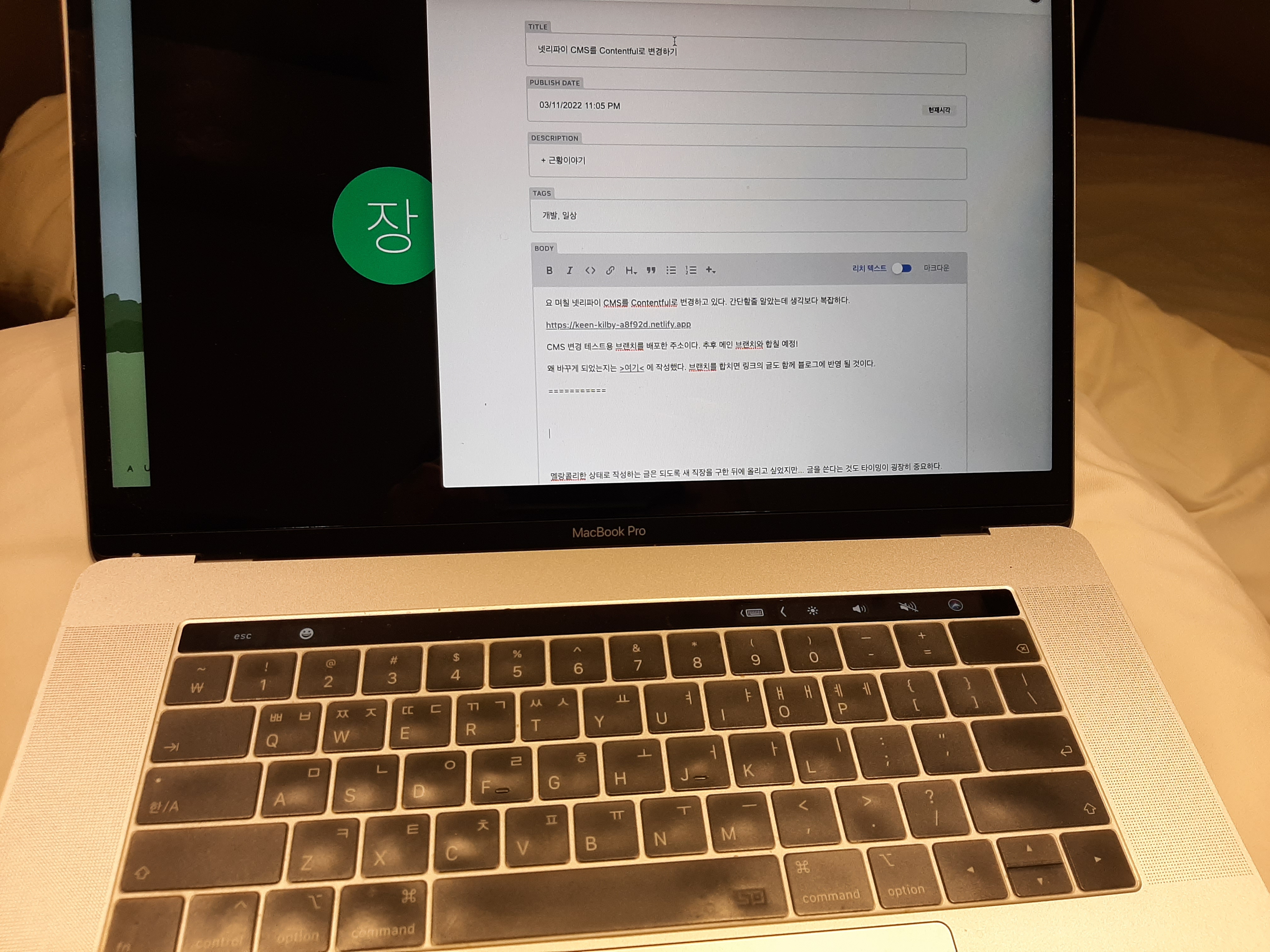 숙소에서 찍은 사진