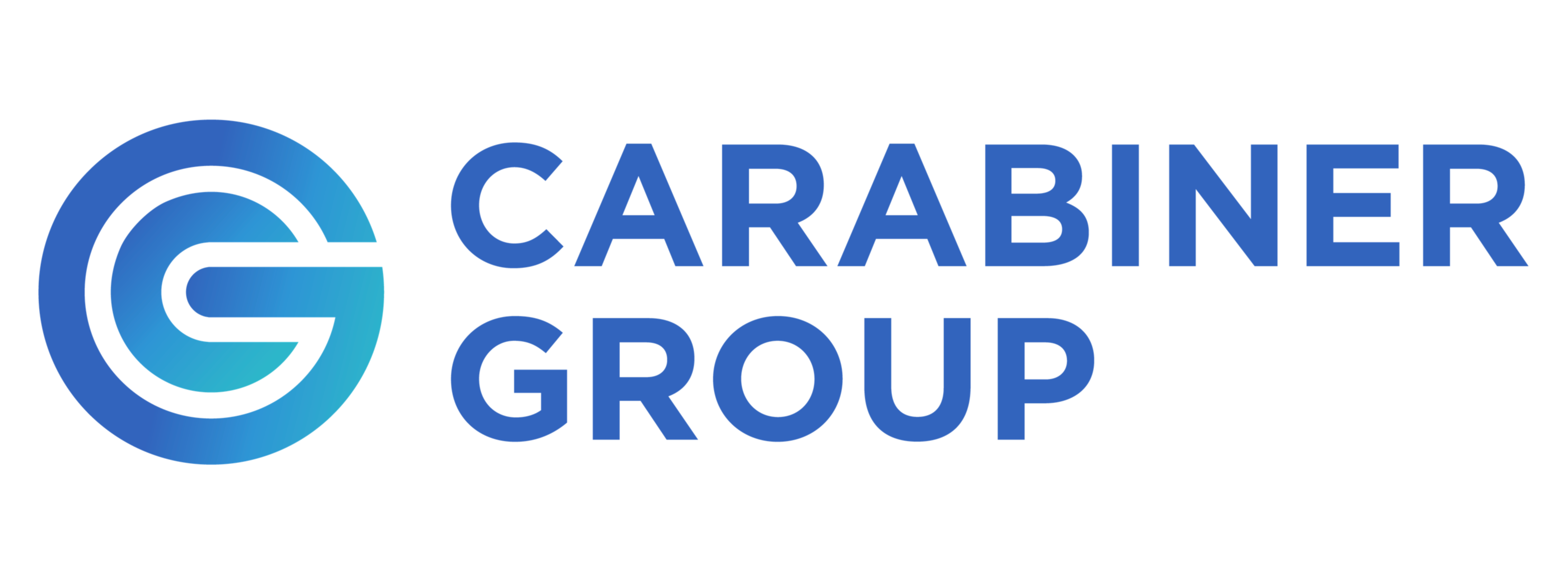 Carabiner Group logo