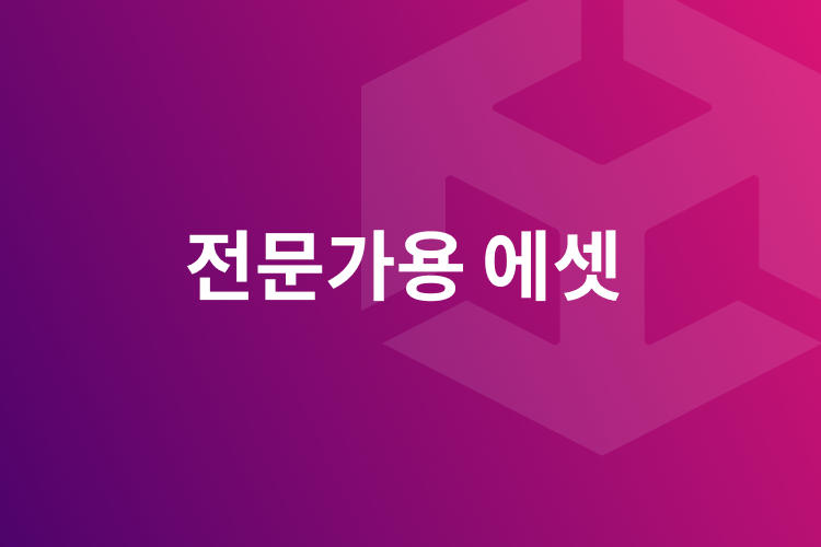 전문가용 에셋