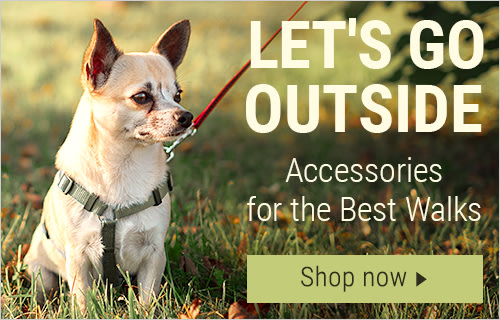 Big Discounts On Dog Food Cat Food Pet Accessories And More At