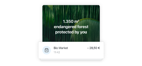 rainforest protection in app