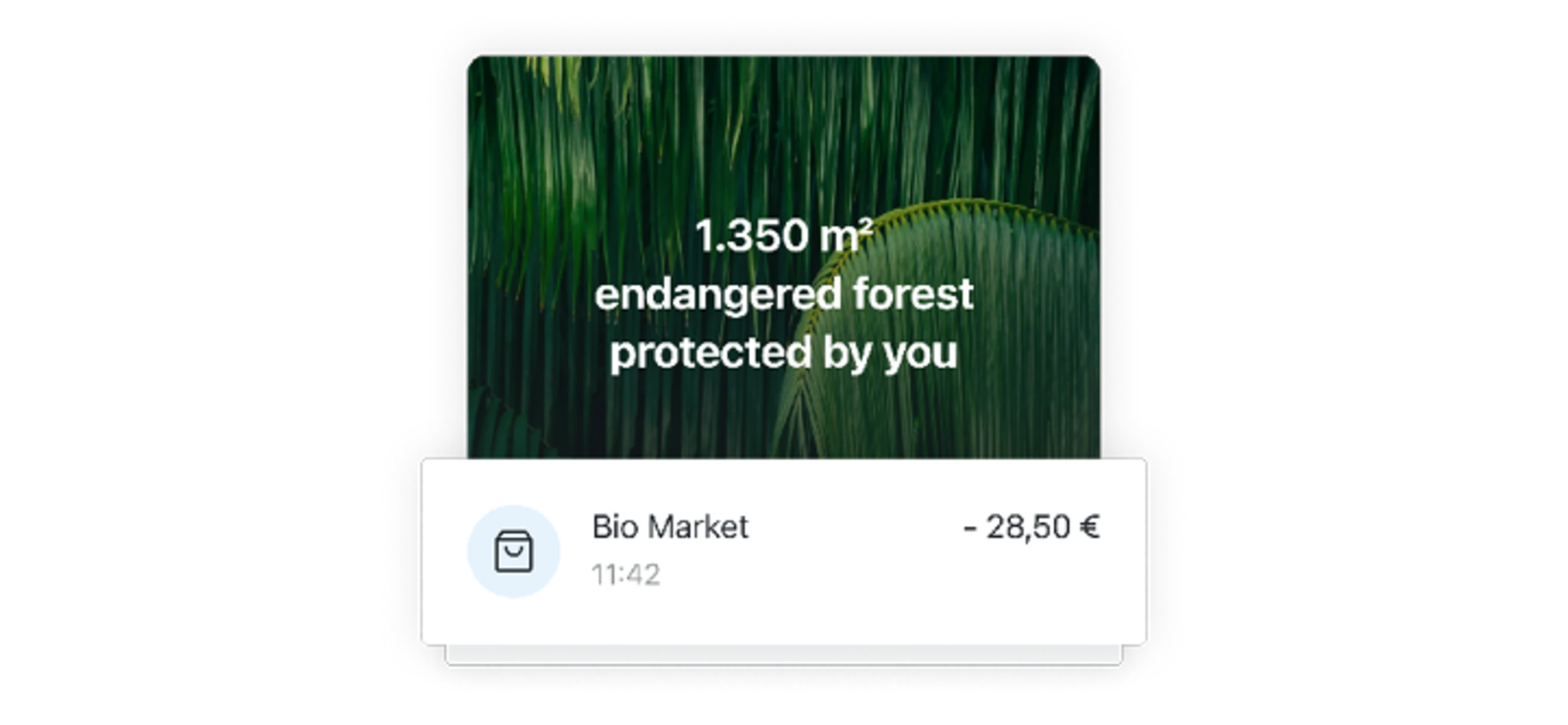 rainforest protection in app