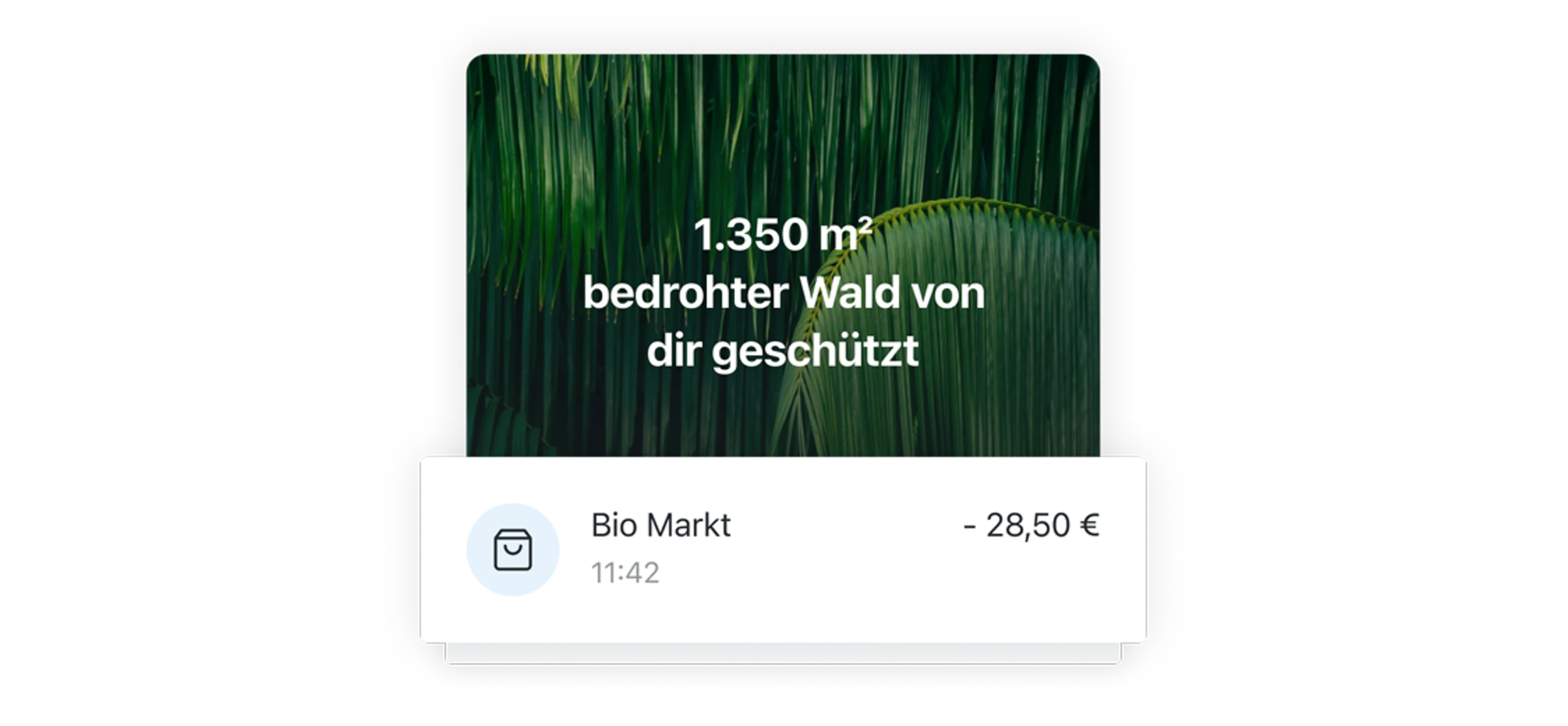 Regenwaldschutz Ansicht in App
