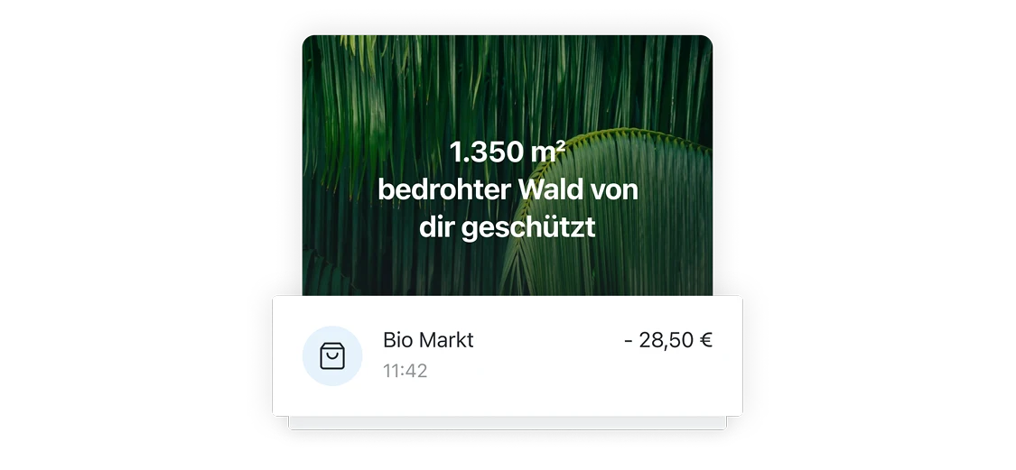 Regenwaldschutz Ansicht in App