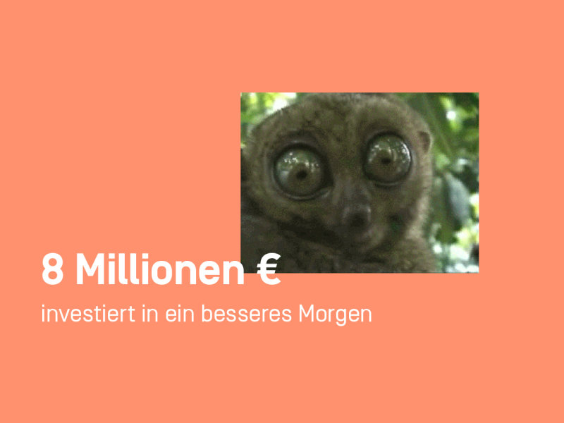 8 Millionen investiert in ein gutes Morgen