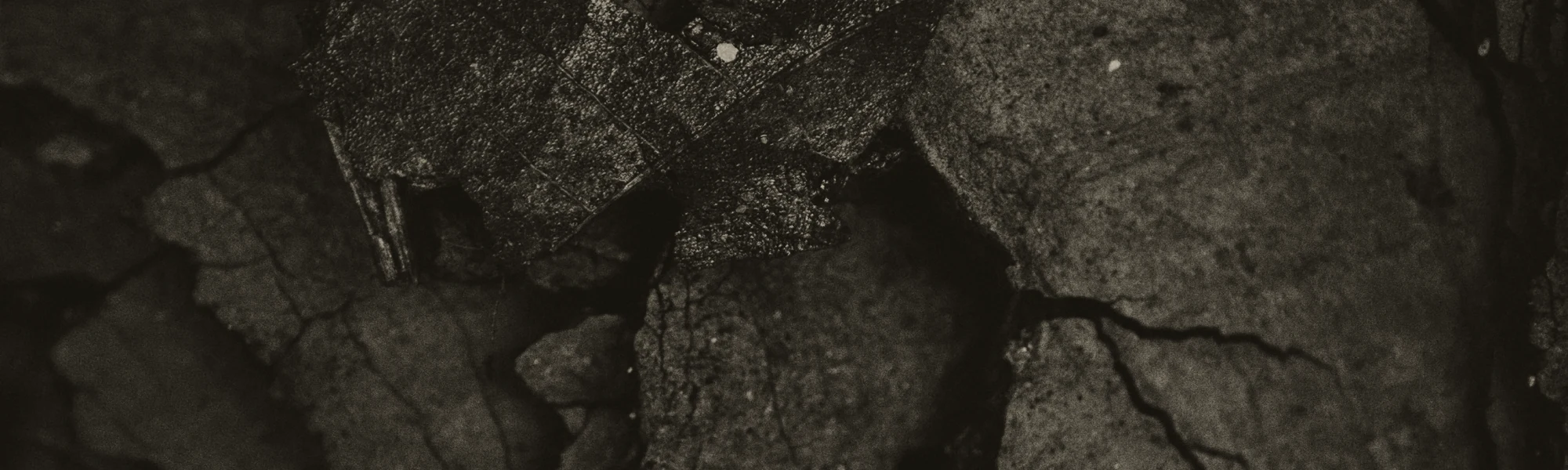 Biochar