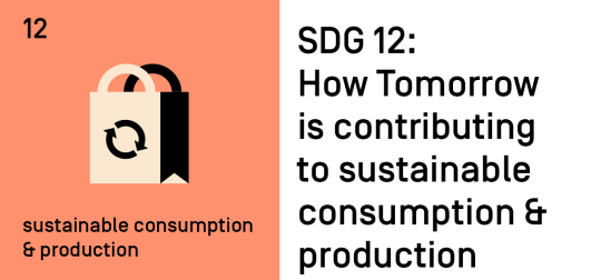 SDG 12: How Tomorrow is contributing to sustainable consumption and production