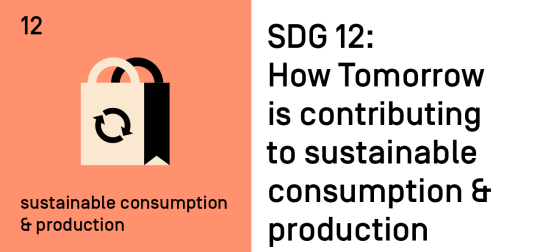 SDG 12: How Tomorrow is contributing to sustainable consumption and production 