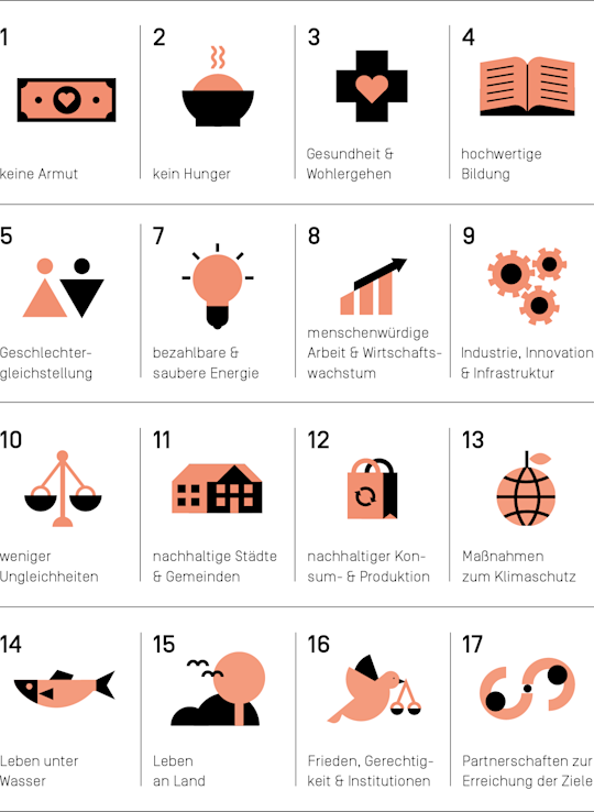 Überblick der 17 Sustainable Development Goals
