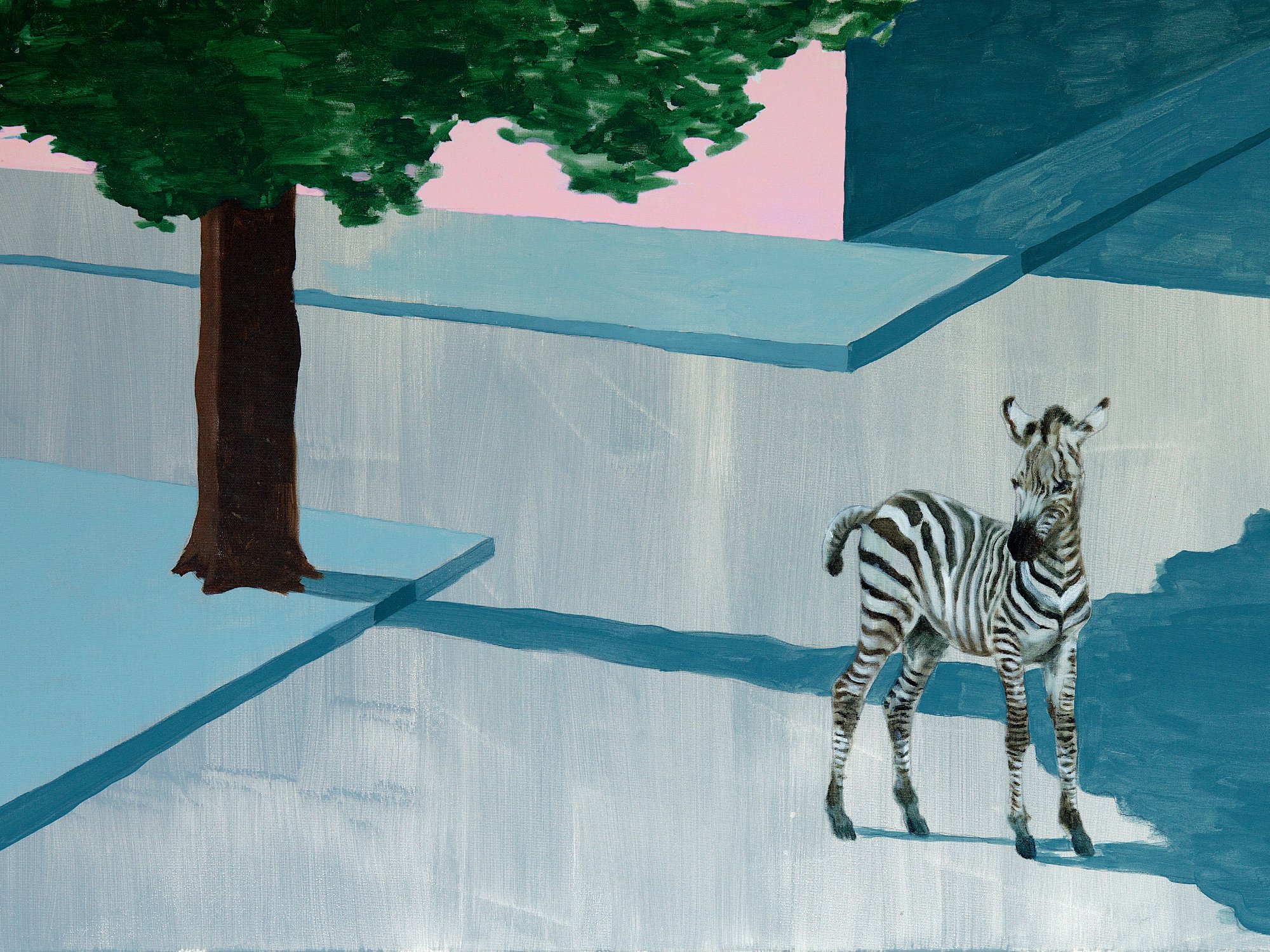 A zebra is standing in the middle of an empty crossing