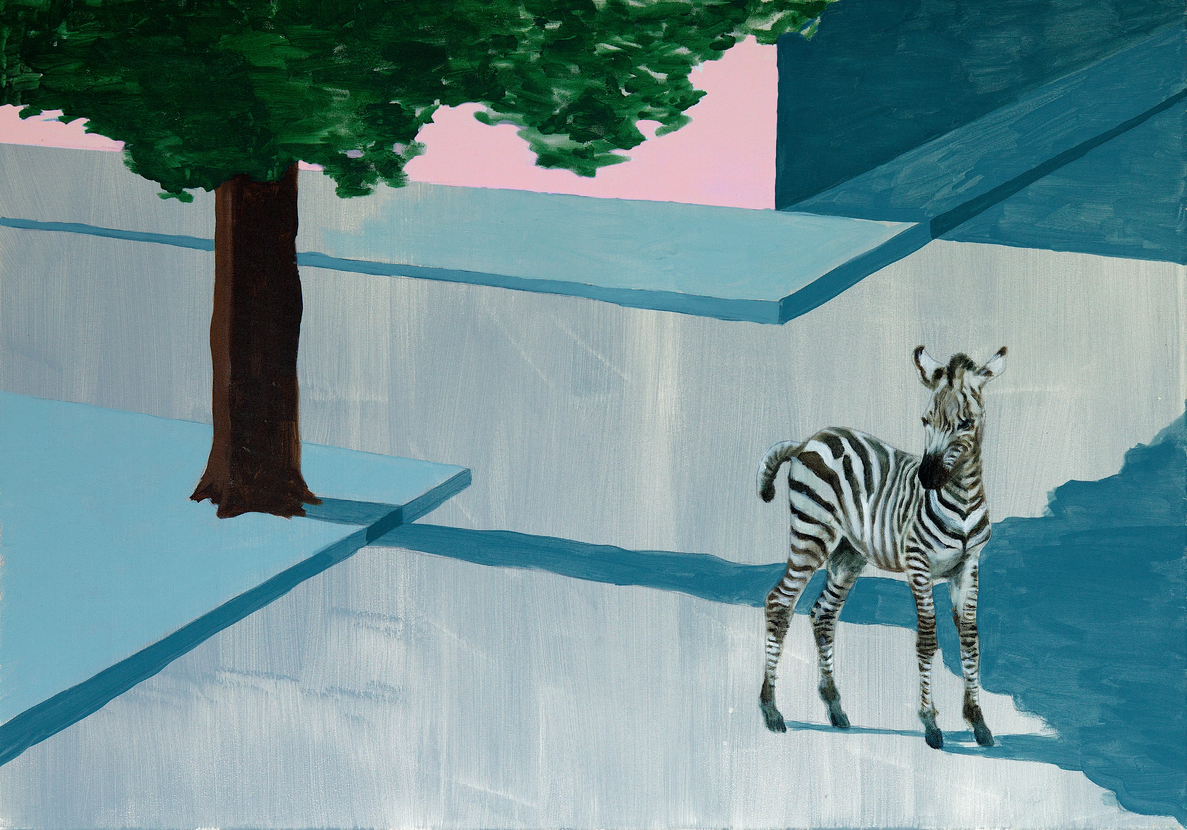A zebra is standing in the middle of an empty crossing