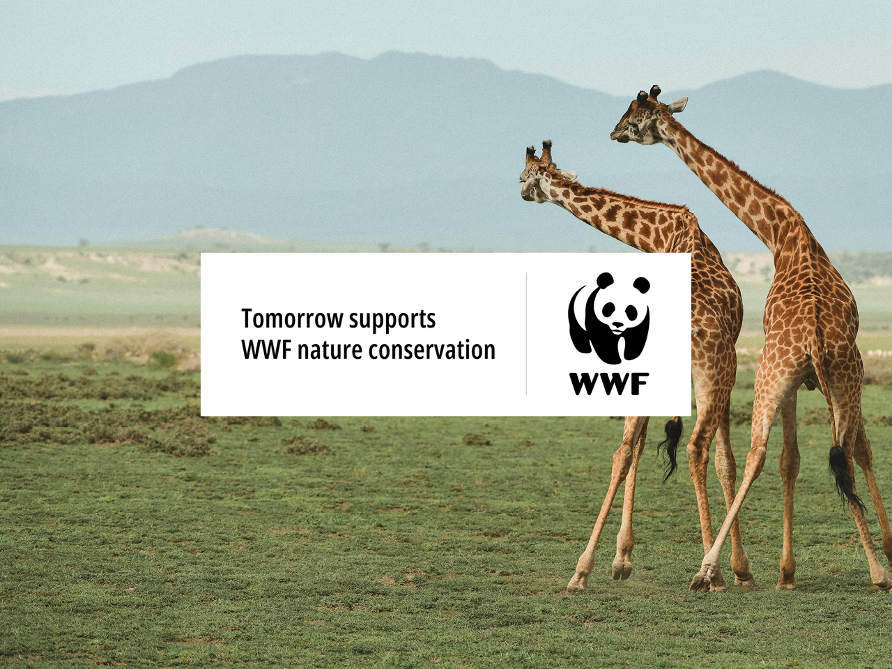 The picture shows two giraffes, the WWF logo and a reference to our cooperation.