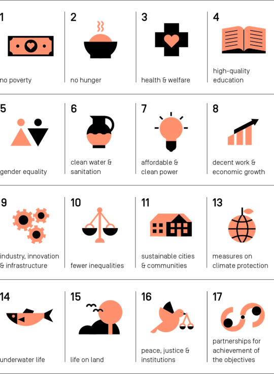 Overview of the 17 Sustainable Development Goals