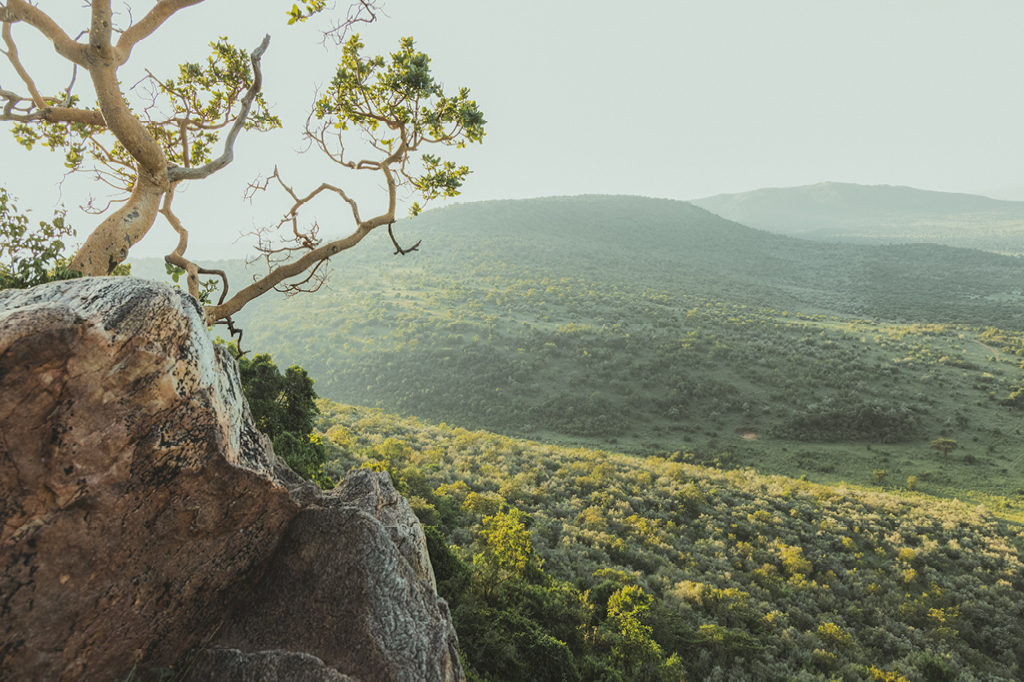 Ein Blick über das Areal des WWF Projekts Uganisha
