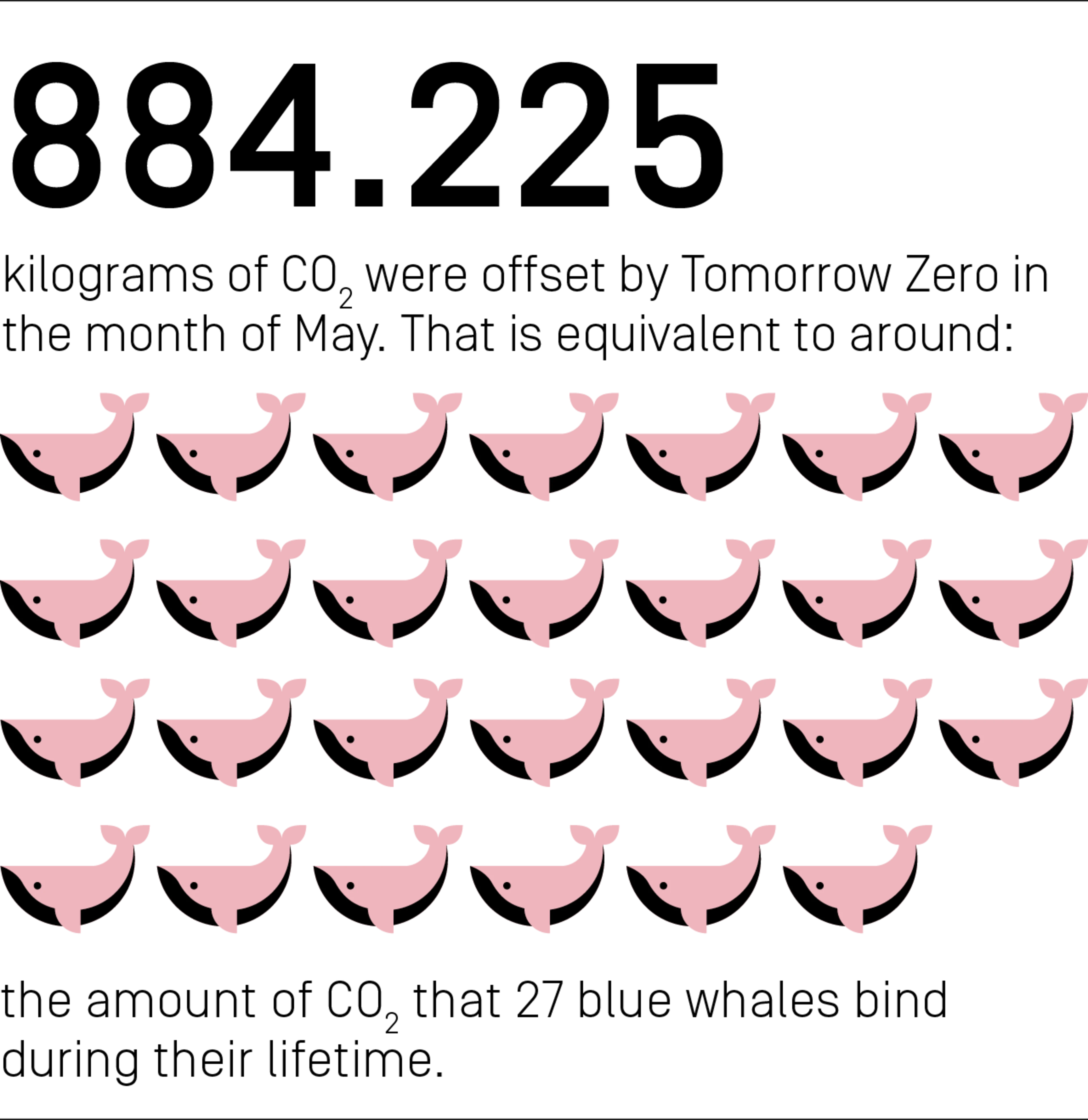 884,225 kilograms of CO₂ were offset by Tomorrow Zero in the month of May. That is equivalent to around the amount of CO₂ that 27 blue whales bind during their lifetime.