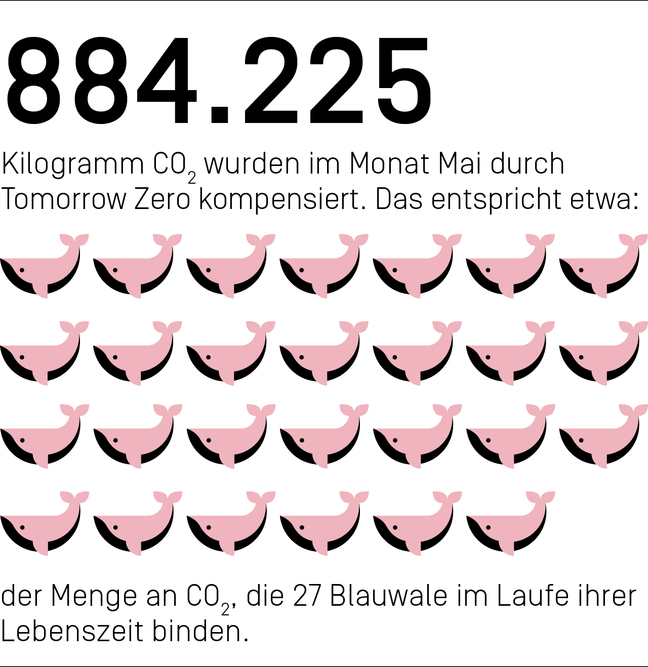 884.225 Kilogramm CO₂ haben wir im Monat Mai durch Tomorrow Zero kompensiert. Das entspricht etwa der Menge an CO₂, die 27 Blauwale im Laufe ihrer Lebenszeit binden.