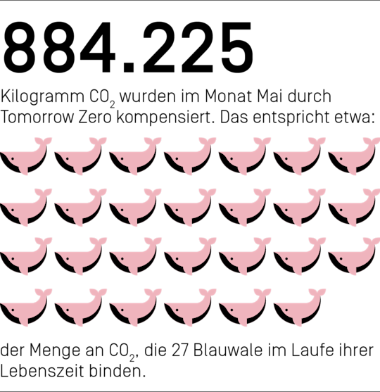 884.225 Kilogramm CO₂ haben wir im Monat Mai durch Tomorrow Zero kompensiert. Das entspricht etwa der Menge an CO₂, die 27 Blauwale im Laufe ihrer Lebenszeit binden.