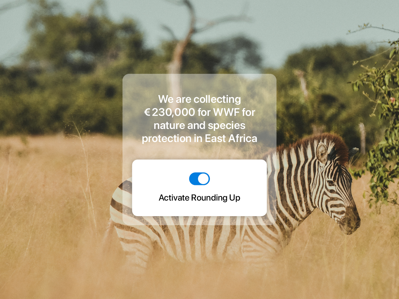 You can see a zebra and the rounding-up target sum of 230,000 euros