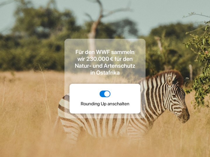 Zu sehen ist ein Zebra und die Rounding-Up Zielsumme von 230.000 Euro