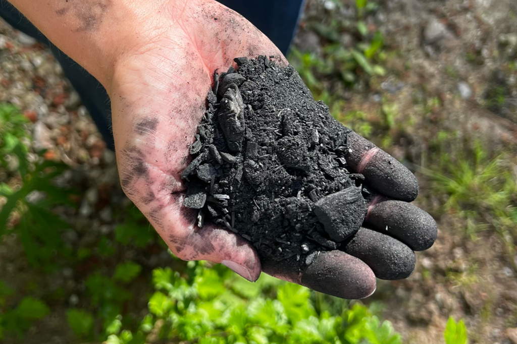 You can see a hand holding some plant charcoal.