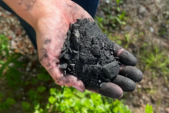 You can see a hand holding some plant charcoal.