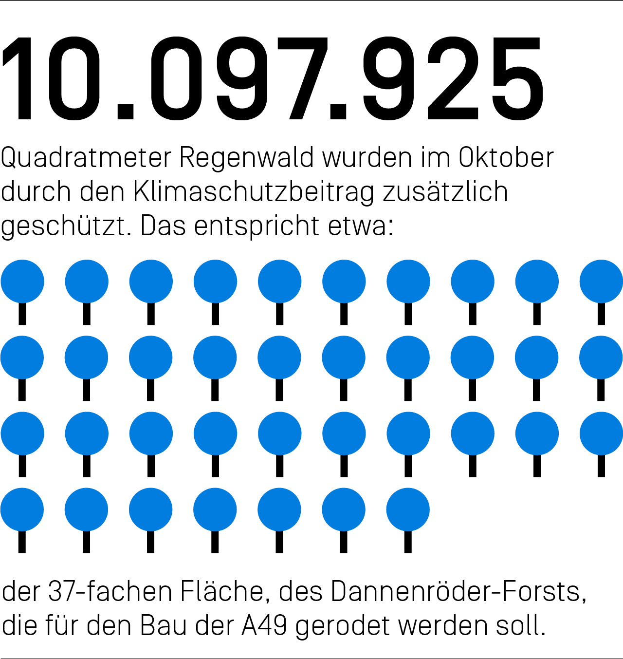 10.097.925 Quadratmeter Regenwald wurden im Oktober durch den Klimaschutzbeitrag zusätzlich geschützt. Das entspricht etwa der 37-fachen Fläche des Dannenröder-Forsts, die für den Bau der A49 gerodet werden soll.